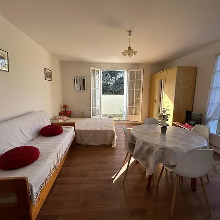 Appartement Lumineux Au Centre-ville Avec Balcon - Fr-1-541-133 La Roche-Posay