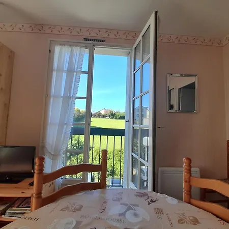 Lumineux Au Centre-ville Avec Balcon - Fr-1-541-133 * La Roche-Posay