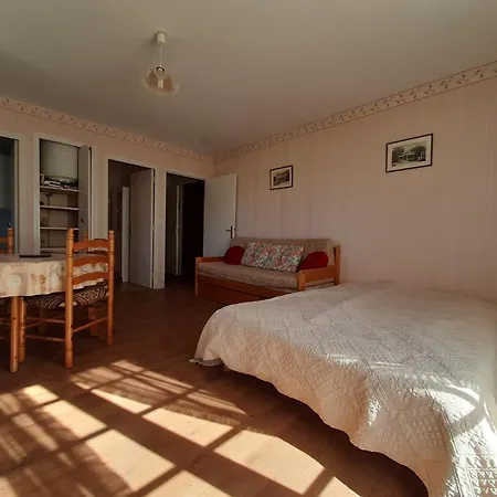 Lumineux Au Centre-ville Avec Balcon - Fr-1-541-133 Daire