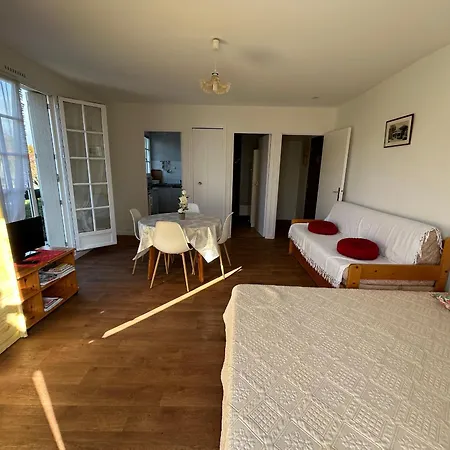 Apartment Lumineux Au Centre-ville Avec Balcon - Fr-1-541-133