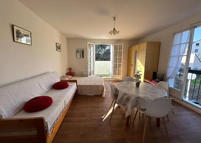 Apartamento Lumineux Au Centre-ville Avec Balcon - Fr-1-541-133 La Roche-Posay