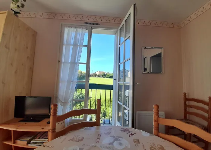 Lumineux Au Centre-ville Avec Balcon - Fr-1-541-133 * La Roche-Posay