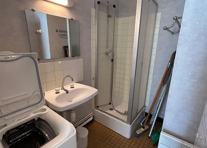 Lumineux Au Centre-ville Avec Balcon - Fr-1-541-133 *