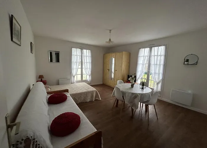 Lumineux Au Centre-ville Avec Balcon - Fr-1-541-133 * La Roche-Posay